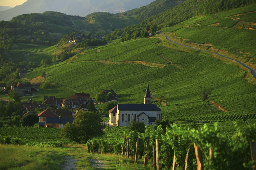 Auvergne-Rhône-Alpes - MO COMPOSANTS