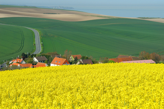 The Region of Hauts-de-France