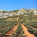 Les Alpilles