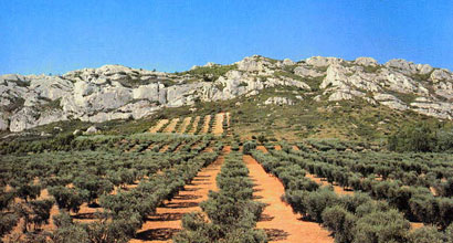 Les Alpilles