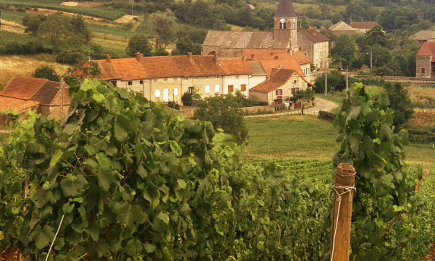 The Region of Burgundy-Franche-Comté