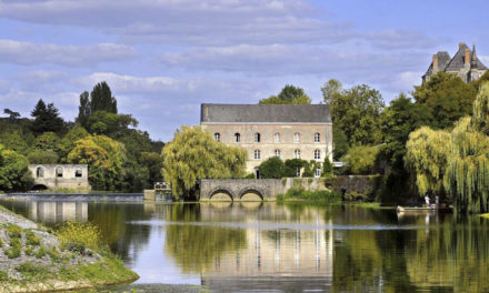 The Region of Pays De La Loire