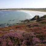 Landes