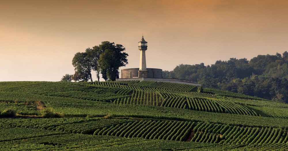 FRANCE - MARNE (51) - THE RUINART CHAMPAGNE CELLARS (LVMH Stock Photo -  Alamy