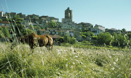 Puy de Dome