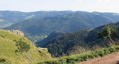 Vosges