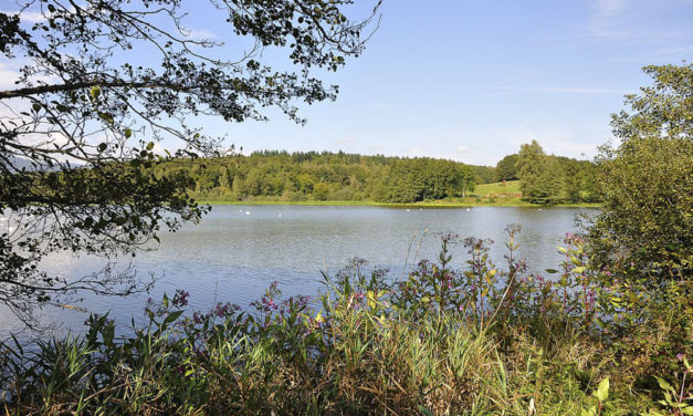 Territoire de Belfort