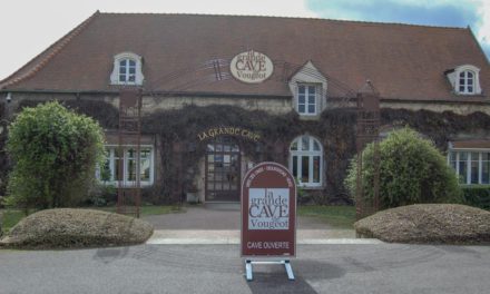 13. La Grande Cave de Vougeot in Vougeot